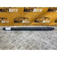 Амортизатор багажника Задн. Exeed RX 1 2023- 554001235aa