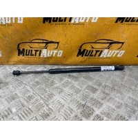 Амортизатор капота Exeed RX 1 2023- 554000485aa