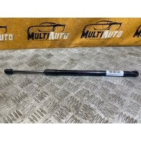 Амортизатор капота Exeed RX 1 2023- 554000486aa