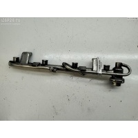 Рампа (рейка) топливная Volkswagen Passat B5+ (GP) 2002 058133681
