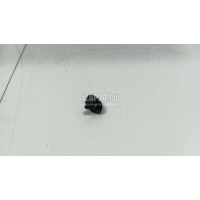 Форсунка омывателя лобового стекла Renault Sandero 2014 289308338R