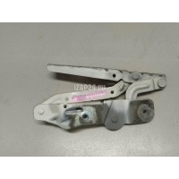 Петля капота левая Ford EcoSport 2013 2005190