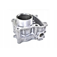 Цилиндр чугунный power force basic mbk nxc yamaha x - max yzf - r125 54mm 4t