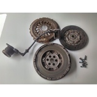 Schaeffler пробелы 55219390 муфта колесо двухмассовый муфта