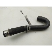 Патрубок Mercedes W164 (ML) 2006 1645060535