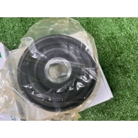 шкив коленвала Renault Master 3 544013610,1230300Q2A,4420381,93168039,8200805671