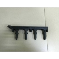 Рампа (кассета) катушек зажигания Citroen Citroen C4 2005-2011 PCI1065, 5970A0