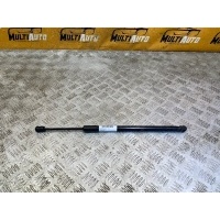 Амортизатор капота Exeed Txl 1 2021- 554000486aa