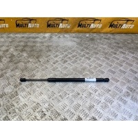 Амортизатор капота Exeed Txl 1 2021- 554000485aa