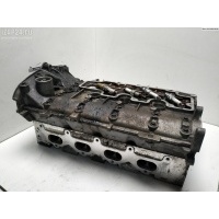 Головка блока цилиндров двигателя (ГБЦ) Renault Scenic II (2003-2009) 2007 212A341324032