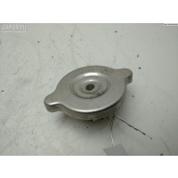 Пробка расширительного бачка Mercedes Vito W638 (1996-2003) 2003 0005016215