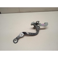 Петля двери багажника BMW X3 G01 2017 41007494943