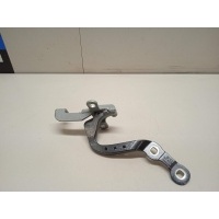 Петля двери багажника BMW X3 G01 2017 41007494944