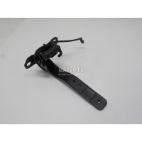 Петля двери багажника BMW i3 (I01) 2013 51247296773