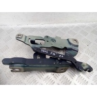 Петля капота правая BMW 5-Series F10 2009 - 2013 2012 7249888,