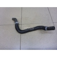 Патрубок Renault Arkana 2019 924005619R