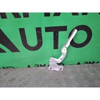 петля капота Chery Tiggo 7 Pro T1E 2020-нв J268402040DY, J268402040, 4