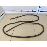 Уплотнитель двери FORD Focus II 2008-2011 1495864