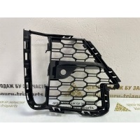 Решетка бампера BMW X7 G07 M-Pack 2019-2022 51118069890