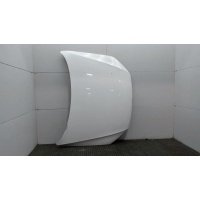 Капот Volkswagen Passat 7 2010-2015 2010
