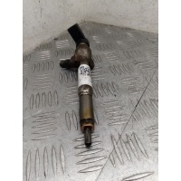 Форсунка Renault Scenic 2 2008 8200294788,8200842205