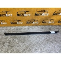Молдинг двери Перед. Exeed Txl 1 2021- 554000160aa