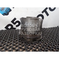 Поршень Mercedes Actros 2011 130L114R011