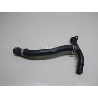 Патрубок Hyundai-Kia Tucson 2021 254502R000