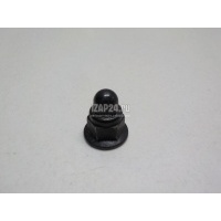 Гайка VAG A3 (8Y) 2020 WHT001308