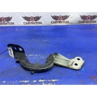 Петля капота FORD FOCUS 3 Хэтчбек 2012