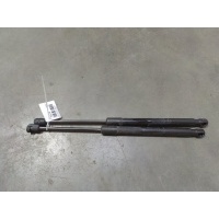 Амортизатор крышки багажника RENAULT DUSTER 2013 904520004