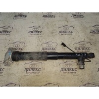 амортизатор Exeed RX 202001086AA