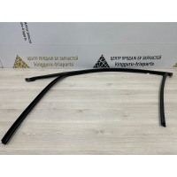 Уплотнитель стекла двери BMW X3 G01 до Рестайлинг 2017-2021 51337393425
