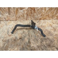 Патрубок Volvo XC60 2020 31368351