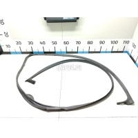 Уплотнитель двери VAG Octavia (A4 1U-) (2000 - 2011) 1Z0837697D