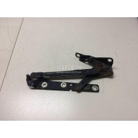 Петля крышки багажника Ford Focus II (2005 - 2008) YS41F42701CC