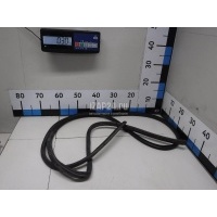 Уплотнитель двери Ford Focus II (2005 - 2008) 1495865