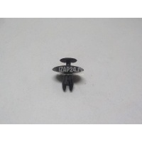 Крепеж (клоп) Citroen-Peugeot C4 (2005 - 2011) 699783