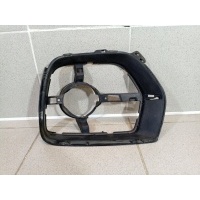 Кронштейн фары противотуманной левой BMW X6 E71 51117181009