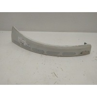 Ус под фару Fiat Ducato (c 2006) 2007 1306528070