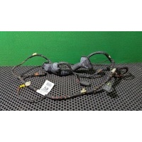 Проводка двери передней правой Mercedes ML W164 2006 A 251 440 20 09