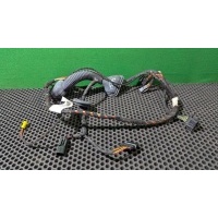 Проводка двери передней левой Mercedes ML W164 2006 A 251 440 20 09