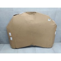 Капот Renault Arkana 2019- ST380005