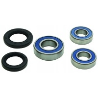 All balls подшипники колёса задняя с uszczelniaczami g310gs 18 - 19 , г 18 - 19