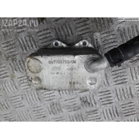 Радиатор масляный Volkswagen Passat B6 2006 06d117021c