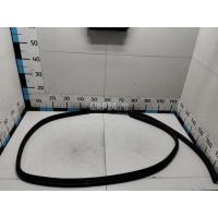 Уплотнитель двери Renault Logan (2005 - 2014) 6001547018