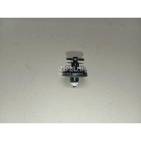 Крепеж (клоп) VAG Caddy III (2004 - 2015) 6Q0868243