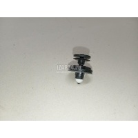 Крепеж (клоп) VAG Caddy III (2004 - 2015) 6Q0868243