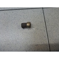 Гайка выпускного коллектора VAG Caddy III (2004 - 2015) WHT004982