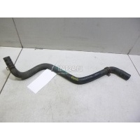Патрубок радиатора Ford Focus I (1998 - 2005) 1134602